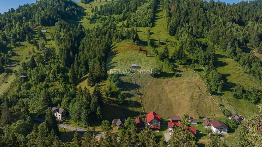 Casă de vacanta, in inima naturii, comision zero pt cumparator - 4