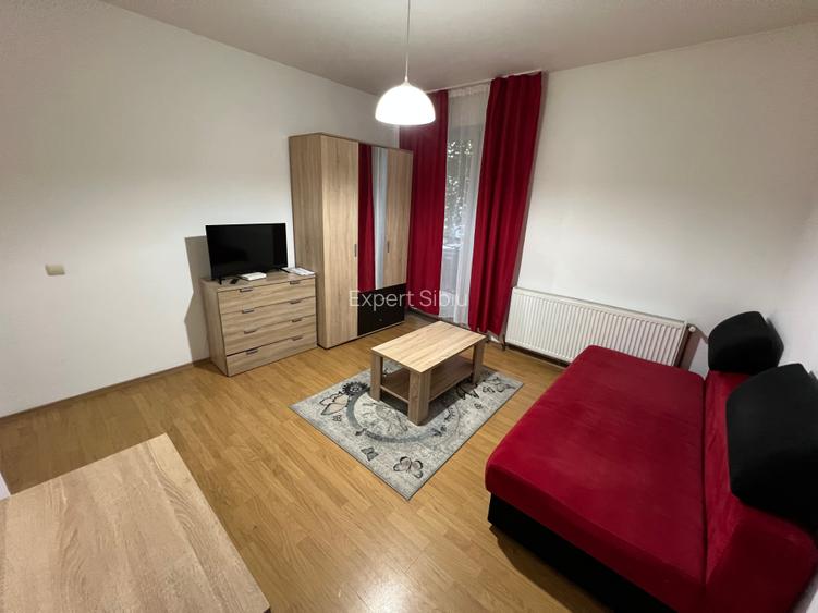 Închiriez garsonieră decomandată, renovată – zona Turnișor - 3
