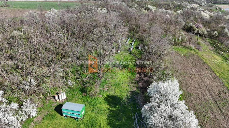 Teren intravilan zona Scurtesti - 3