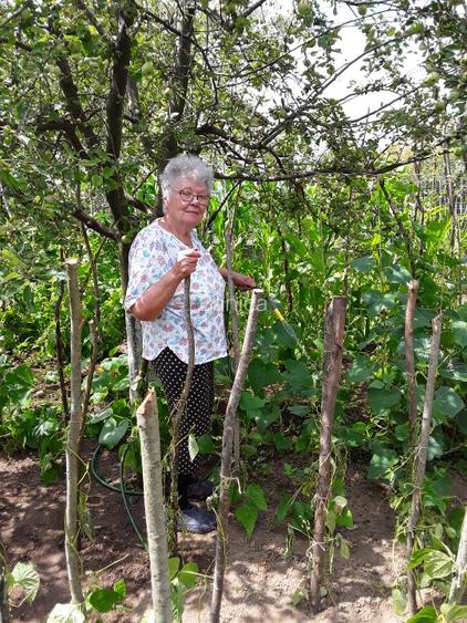Casa situata  la poalele dealurilor subcarpatice in zona pomicola. - 14