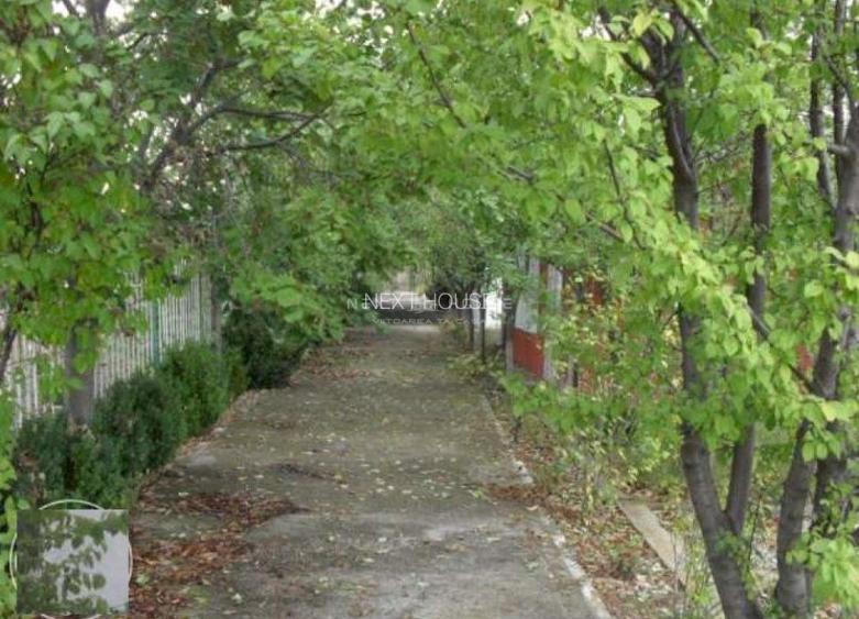 Teren la 35 km de Bucuresti - Izvorani - Ciolpani - 5