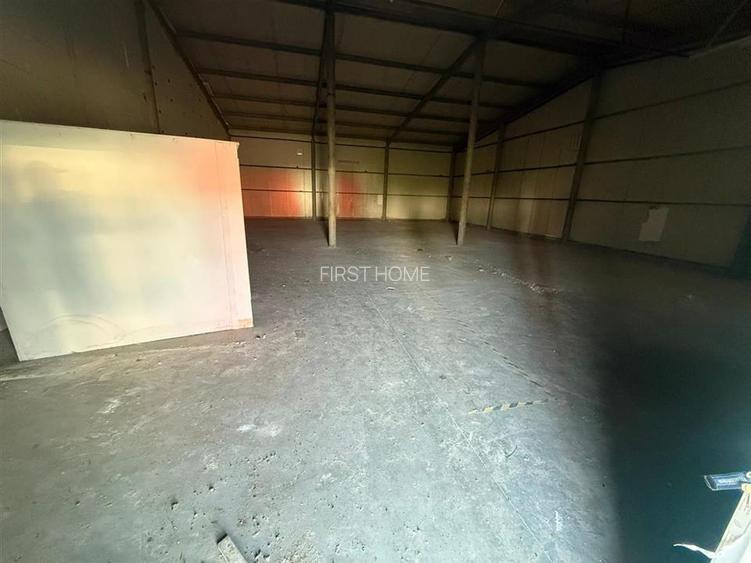 Hala de inchiriat, zona LVG acces din E85 - 3