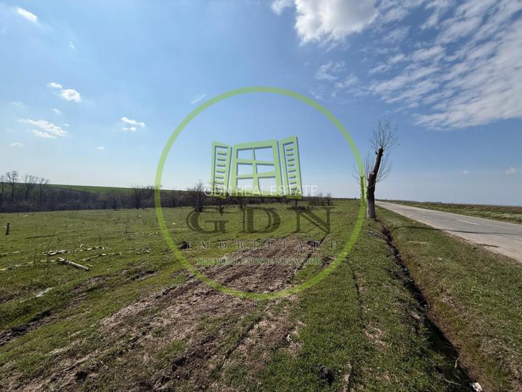 Teren intravilan 2500 mp, Bucovat - 2