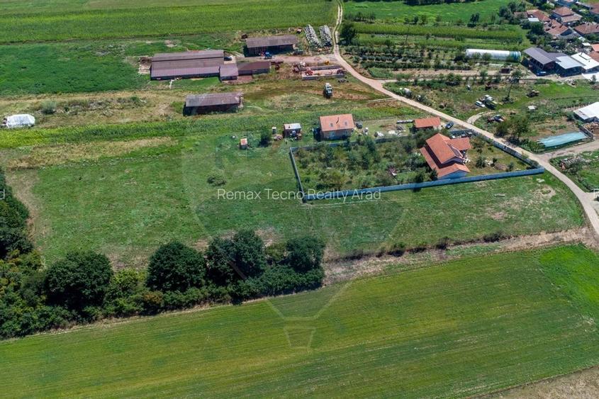Teren intravilan Balata /Hunedoara - 7
