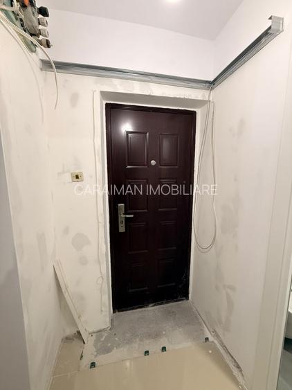 Doamna Ghica x Colentina - langa parcul plumbuita si parcul tei - 11