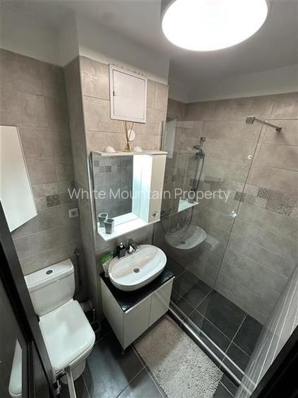 Apartament 3 camere, inchiriere termen lung, Drumul Taberei - Raul Doamnei 122 - 12
