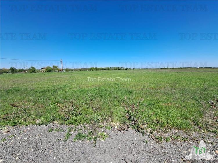 Loturi teren de vanzare Branesti/Vadu Anei - 12