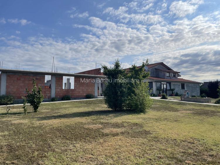 Vila P+M, an 2021, teren 3600 mp, D=50 m, Brancoveni - 3