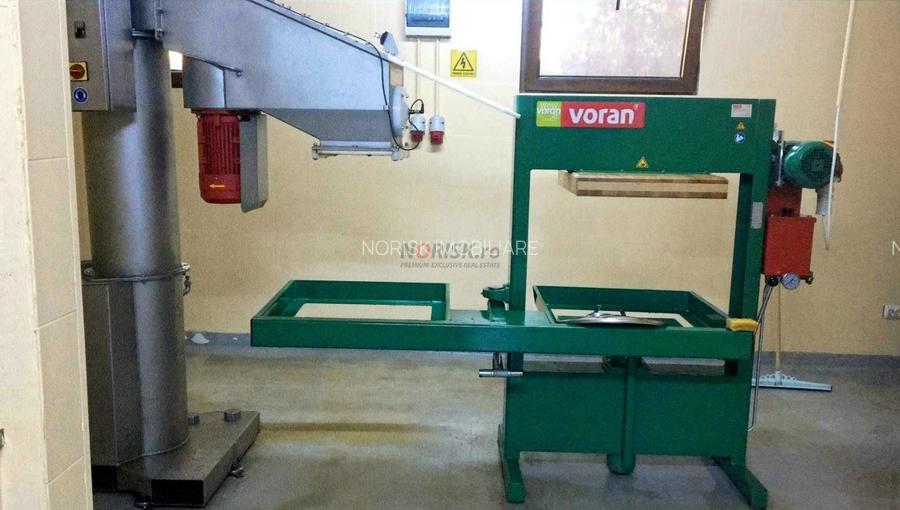 Vila + Afacere 15.000mp Clinceni - 7