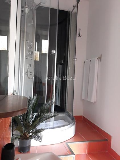 Casa cu trei apartamente separate amenajate si inchiriate in regim hotelier - 7