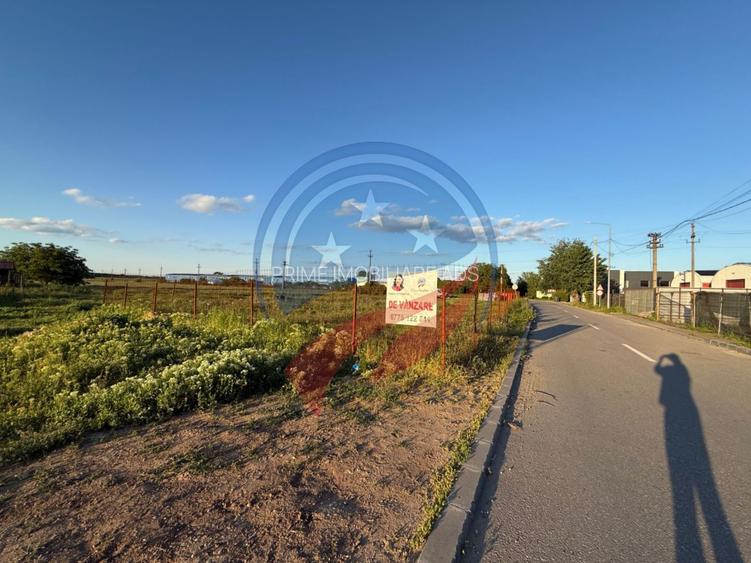 Teren de vanzare/Hanul cu Ponei/Carcea - 3