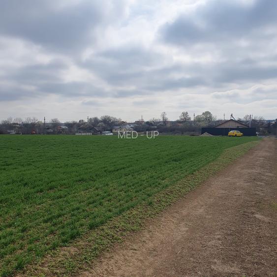 Tâncăbești -Ilfov suprafață 4500 mp - 7