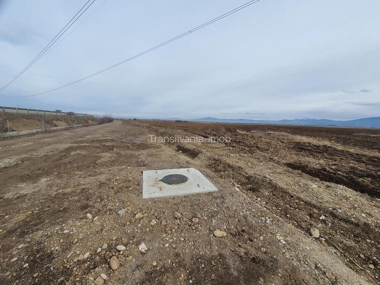 Teren centura Brasov pretabil investitie 5 euro/mp - 2
