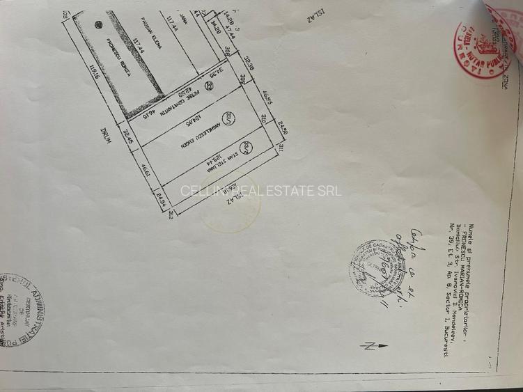 5000 mp Teren Intravilan | DN4 | Hobby Arena - Ambient Beach Frumușani | A0 13KM - 1