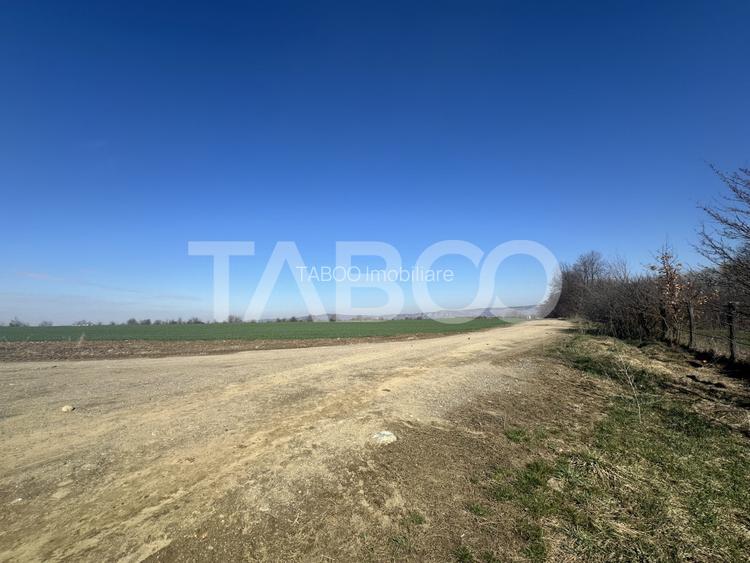 Teren intravilan 2000 mp cu utilitati in apropiere Comuna Dragus - 4