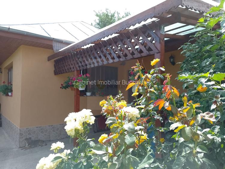 Casă de vacanță modernă cu teren generos –15min de Tecuci - 30