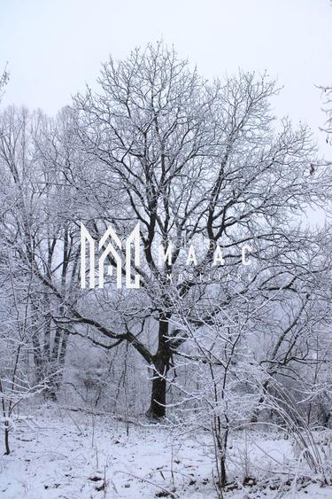 Teren cu izvor de apă minerală  Dangești, Punctul Valea Mare - 32