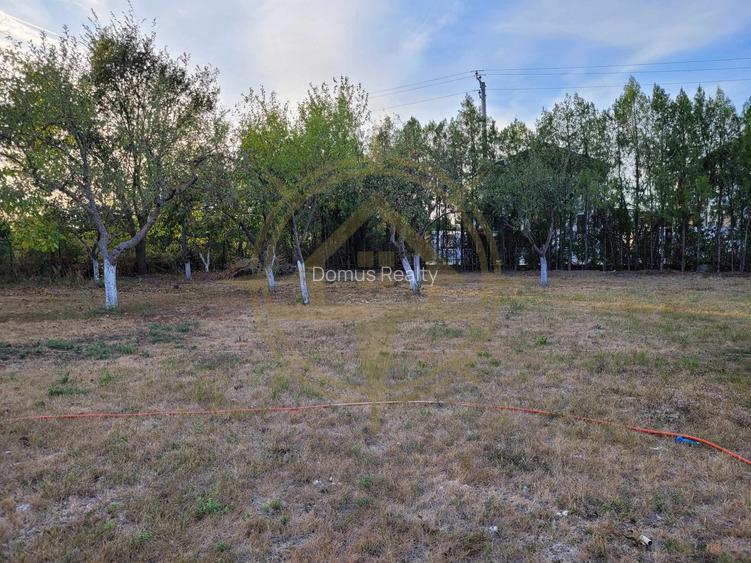 DOM00438 - De vanzare teren intravilan 1000 mp. Corbeanca - 8