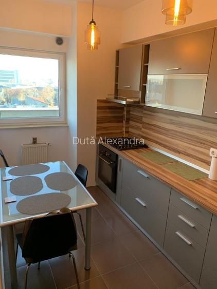 Apartament duplex  Parcul Carol - 7