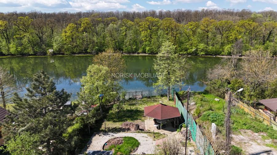 Vilă pe lac cu vedere la pădure - Pasărea - Brănesti - 21