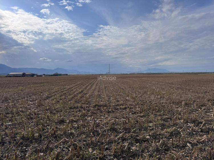 Teren dezvoltare rezidentiala Tarlungeni - zona Izvor - 8