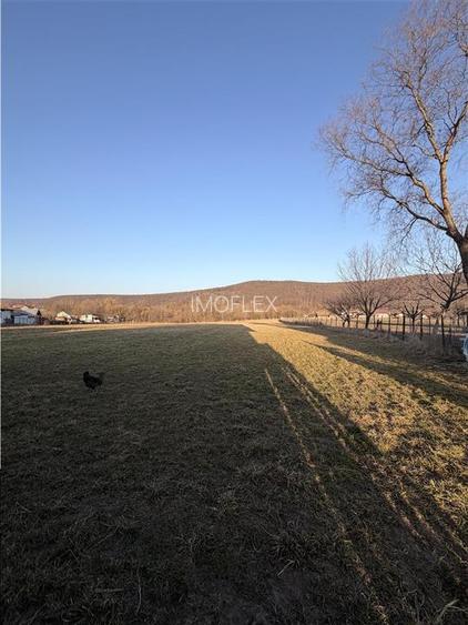 Vilă în Pătrăuți + 8400mp teren - 16