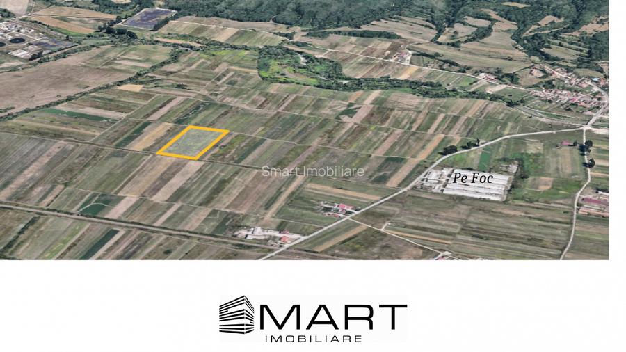 Teren extravilan de vânzare –5000 mp, Șelimbăr (Mohu) - 3