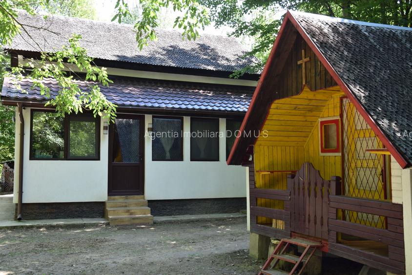 Casa de vacanta noua complet mobilata si utilata - 3