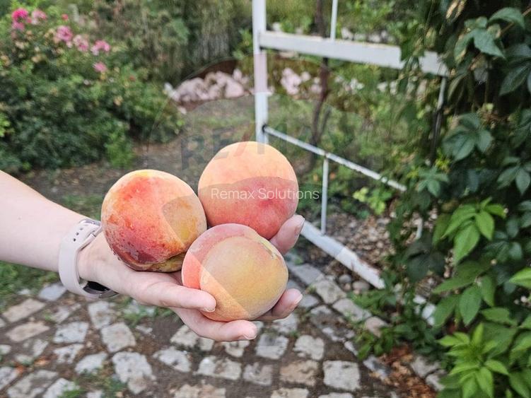 Casa/Vila cu teren deosebit de vanzare in Techirghiol Constanta - 9