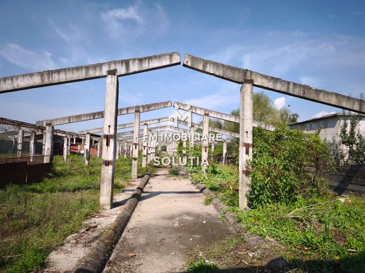 Complex industrial  cu teren 18,672 mp Târgu Lăpuș - 21