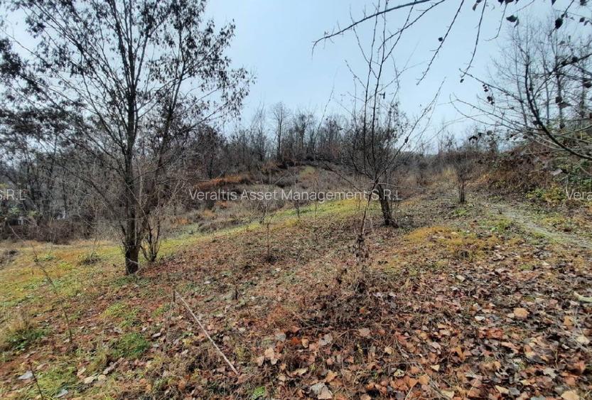 Teren intravilan faneata Fieni 4.488 mp (licitatie) - 3