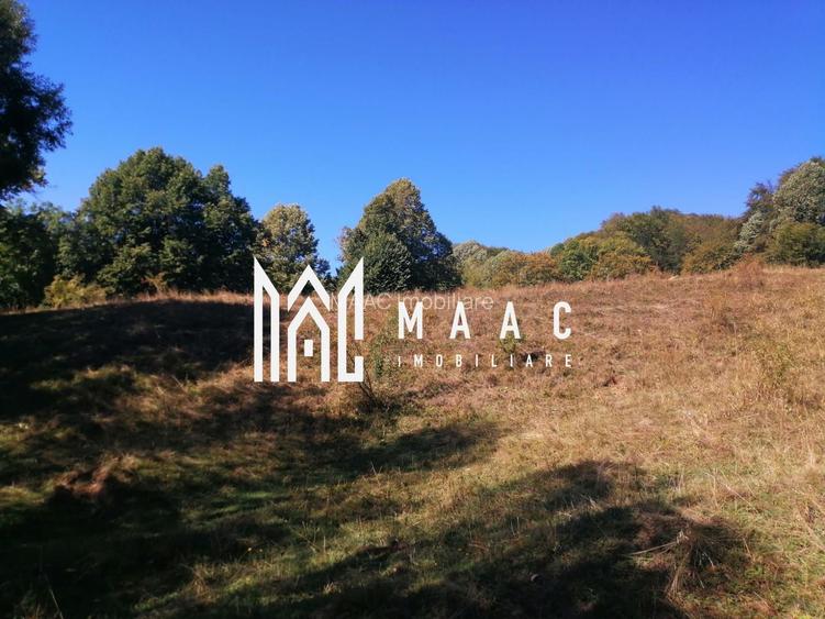 Teren Extravilan 20.000Mp I Stoenești -Vâlcea I Apă Curentă și Pădure - 15