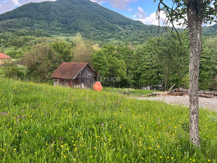 Vand teren intravilan loc.Hartagani HD - 9