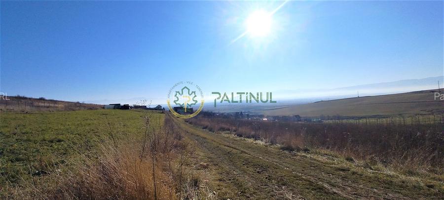 Teren intravilan in Sibiu, Sura Mare, priveliste deosebita, 536 mp, PUZ - 6