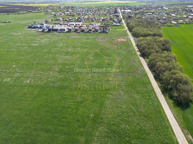 Teren intravilan 1490mp | SAD | Covaci - 4