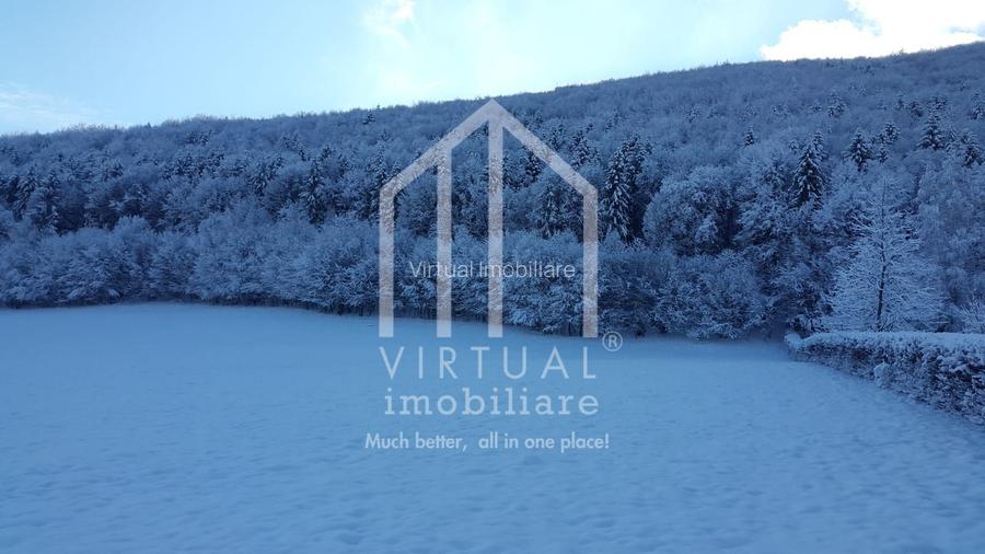 Teren intravilan de vanzare in Tocile, 3862 mp, priveliste spre padure - 13