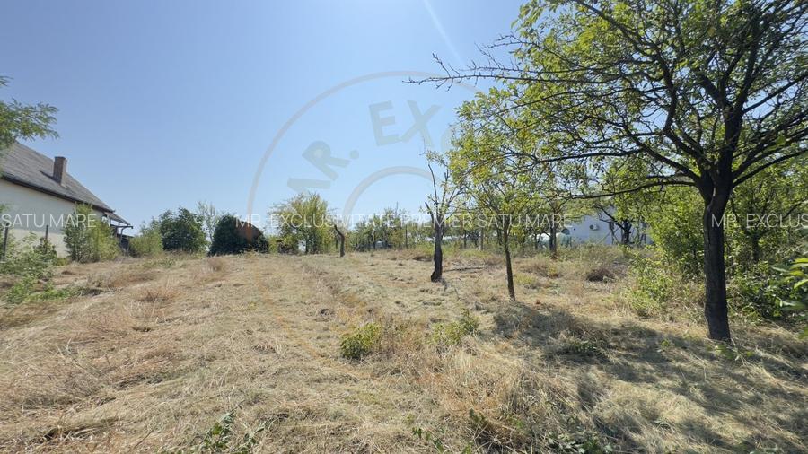 De vanzare Teren extravilan 2000 mp Carei - Gradina Viilor, Valea Tireamului - 2