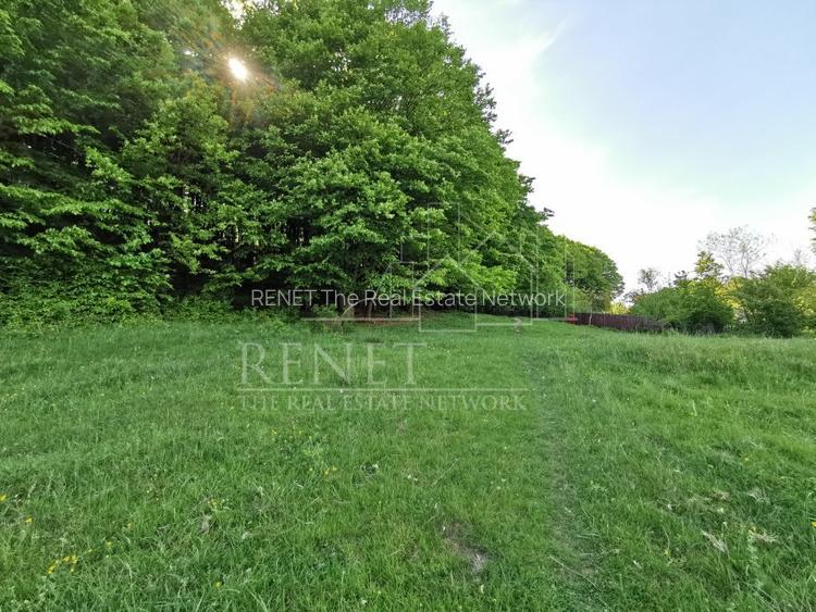 Oportunitate de Investiție - Teren de Basm in Bascov. DIRECT PROPRIETAR. - 4