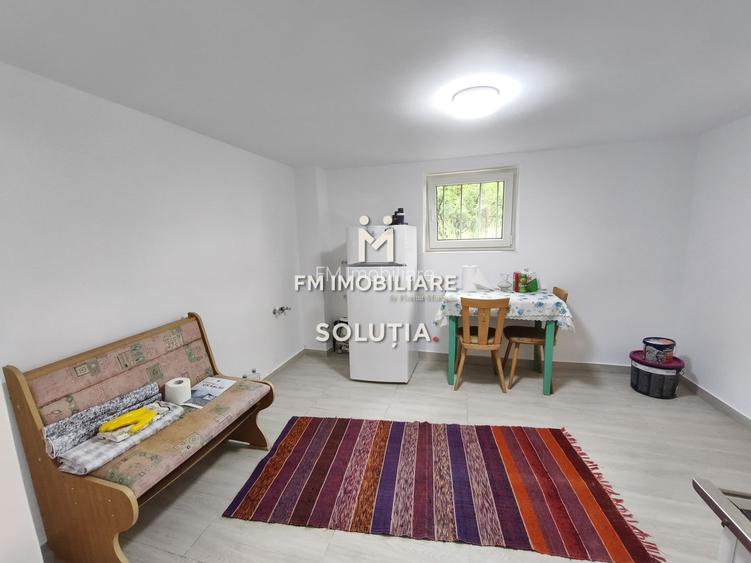 Casă P+1 de vânzare în Cicârlău – zonă superbă, 11 ari teren! - 10