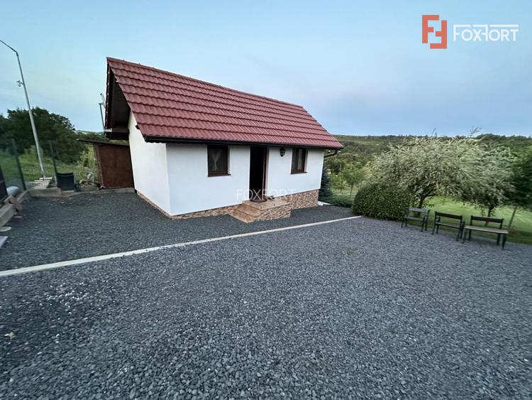 Casa de vacanta cu teren de 2344 mp - zona Nadas - 2