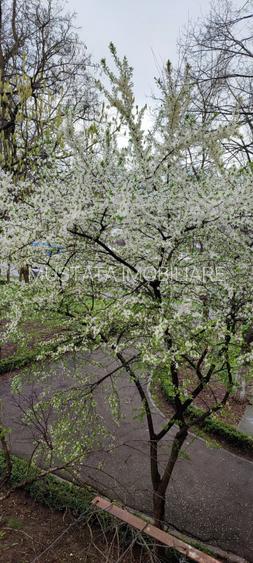 - ETAJ 1. Garsoniera Hipodrom-Pietatii. Comision ZERO! REPR. EXCLUSIVA - 10