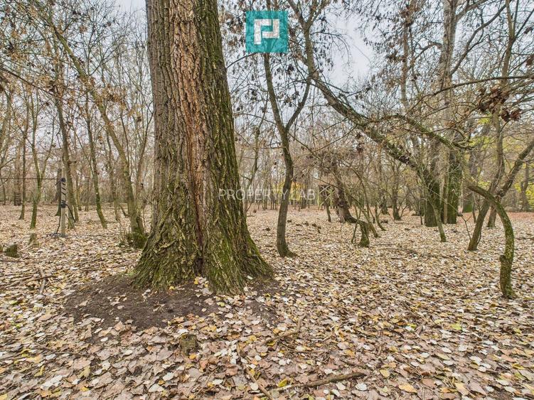 Teren pe malul Muresului- oportunitati multiple - 29