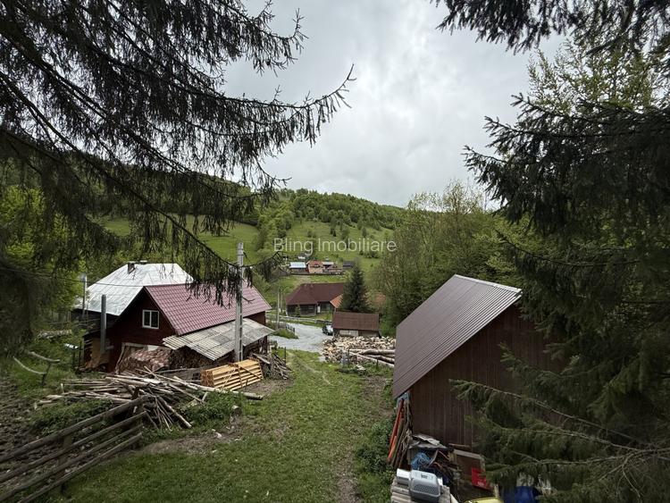 Cabana 5 dormitoare - 138.6 mp utili - 386 mp teren - Baisoara! - 16