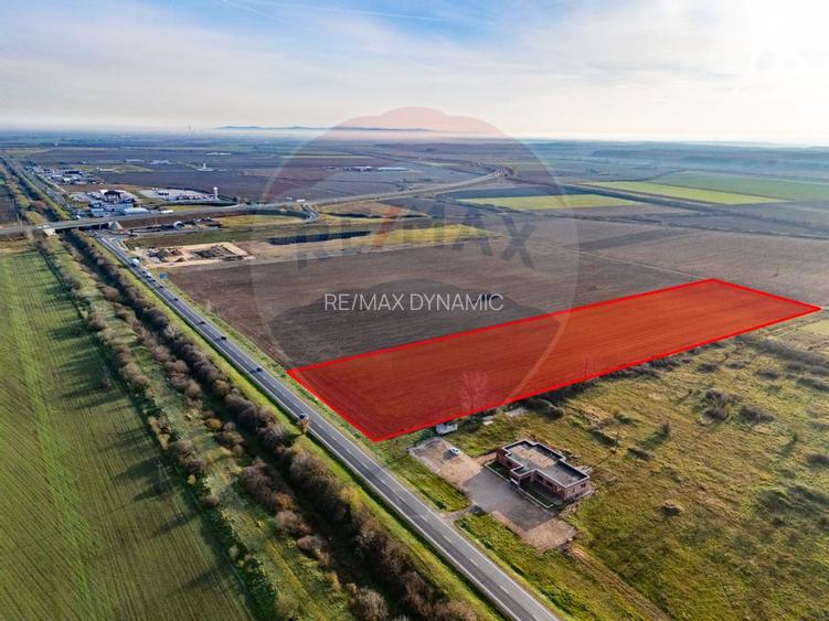 Teren 29220 mp Pecica,DN7, langa autostrada- Ideal pentru afaceri - 2