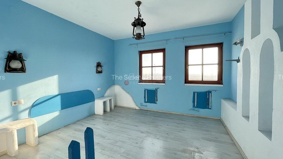 Spatiu Comercial cu Multiple Functionalitati - 22