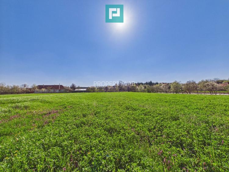 Teren intravilan 3024 mp, în comuna Almaș, Arad - 4