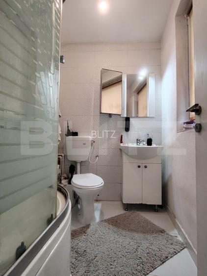 Casa P+M cartier 1 Mai, in apropiere de Parcul N Romanescu - 12