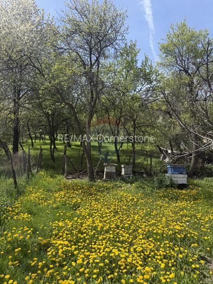 Casă  de vânzare în zona Câmpulung înconjurată de natura - 16