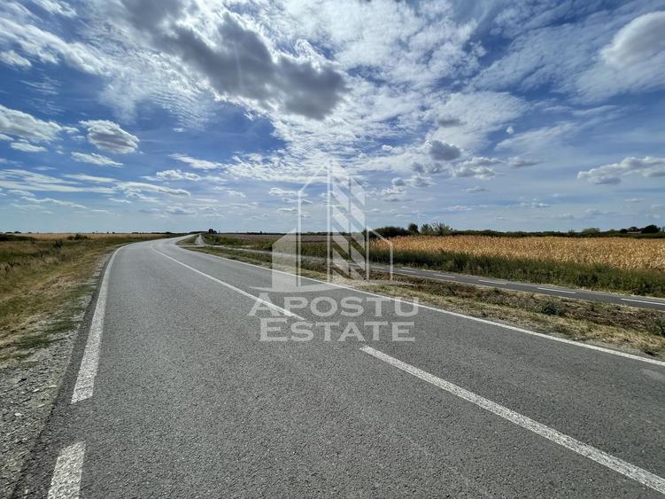Teren 55.000 mp, front stradal 354 ml, asfalt, Remetea Mare -Ianova.