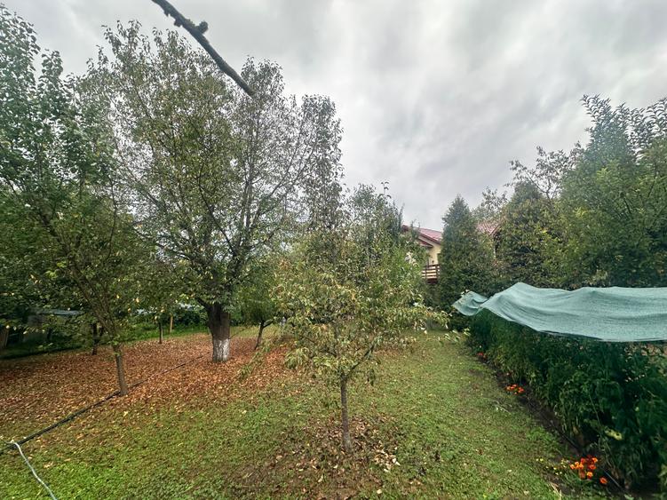 Sighișoara - Pensiune pe un domeniu de 8000 mp